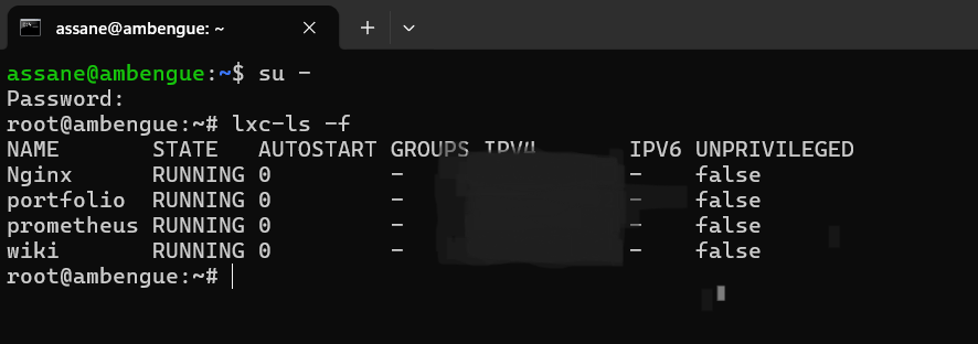 Vu d'ensemble du VPS avec ses conteneurs LXC